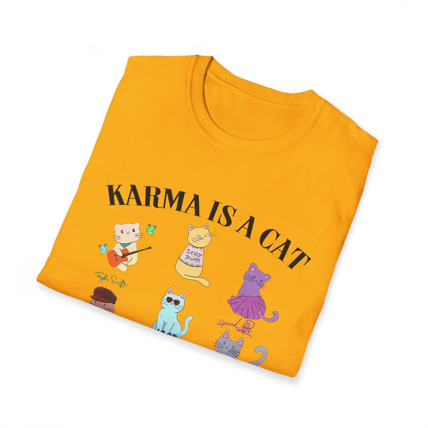 Karma is a Cat | Taylor Swift The Eras Tour