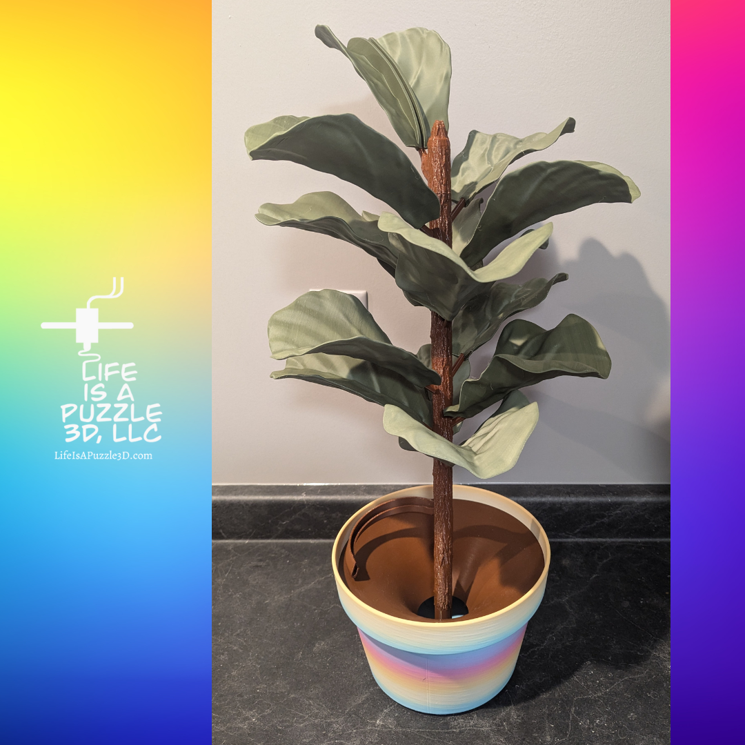 Figgy Bank Fig Tree Money Bank